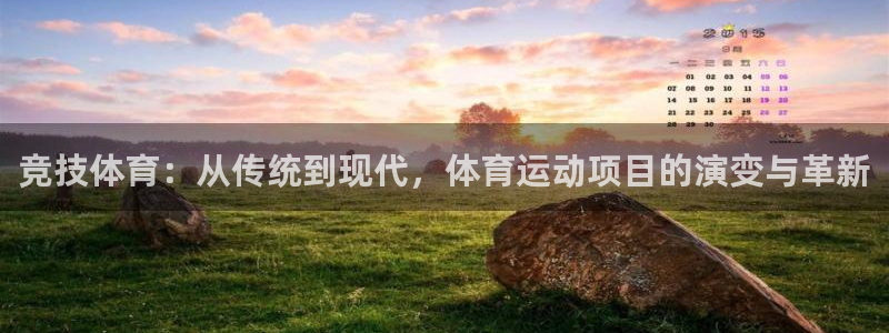 尊龙官网下载平台注册要钱吗是真的吗:竞技体育:从传统到现代,