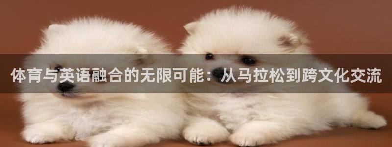 尊龙官网下载招商电话是多少:体育与英语融合的无限可能:从马拉