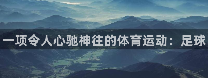 尊龙官方正版app集团官网首页:一项令人心驰神往的体育运动:
